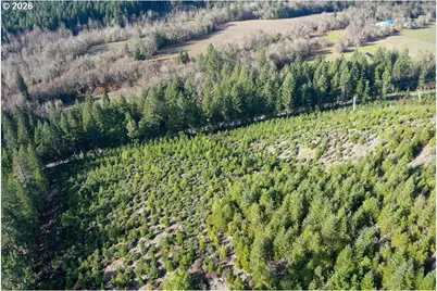 McMullen Creek Rd, Selma, OR 97538 - Photo 29