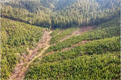 McMullen Creek Rd, Selma, OR 97538 - Photo 3