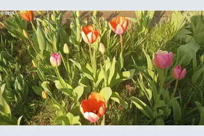 39100 NW Pacific Hwy, Woodland, WA 98674 - Photo 21