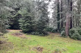 83189 Clear Lake Rd, Florence, OR 97439 - Photo 31