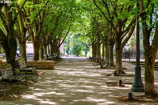 1135 NW Irving St, Portland, OR 97209 - Photo 41