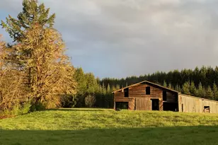 52592 NW Old Wilson River Rd, Gales Creek, OR 97117 - Photo 45