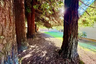 918 Midland Way, Brookings, OR 97415 - Photo 13