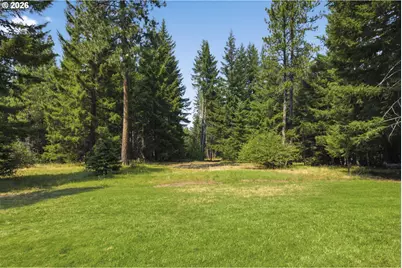 19 Lois Ln, Trout Lake, WA 98650 - Photo 41