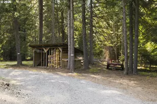 19 Lois Ln, Trout Lake, WA 98650 - Photo 39