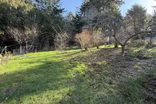 42528 Hensley Hill Rd, Port Orford, OR 97465 - Photo 33