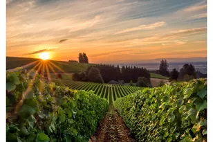 958 Legacy Ln, Eugene, OR 97402 - Photo 19