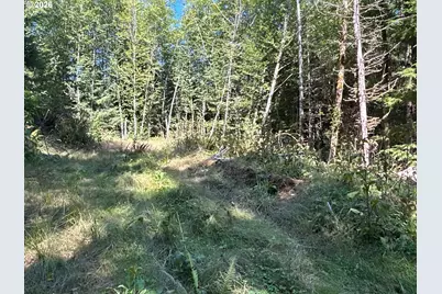1 Eden Valley Rd, Rosburg, WA 98643 - Photo 7