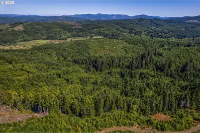 1 Eden Valley Rd, Rosburg, WA 98643 - Photo 11