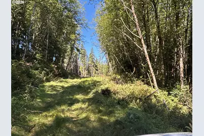 1 Eden Valley Rd, Rosburg, WA 98643 - Photo 9