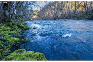 47866 W 1st St, Oakridge, OR 97463 - Photo 25