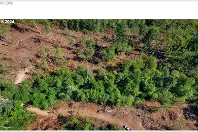 Ne Berry Rd, Battle Ground, WA 98604 - Photo 11