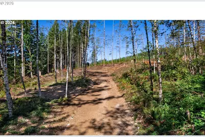 Ne Berry Rd, Battle Ground, WA 98604 - Photo 15