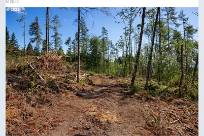 Ne Berry Rd, Battle Ground, WA 98604 - Photo 7