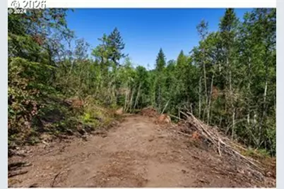 Ne Berry Rd, Battle Ground, WA 98604 - Photo 3