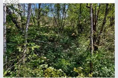 Ne Berry Rd, Battle Ground, WA 98604 - Photo 5