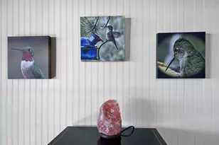 15765 Hwy 101, Brookings, OR 97415 - Photo 9