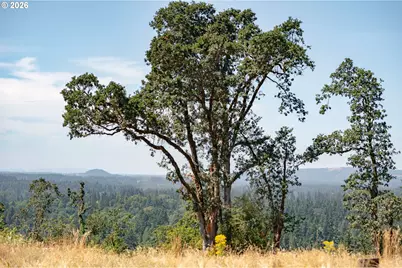 28797 SW Petes Mountain Rd, West Linn, OR 97068 - Photo 13