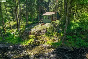 49091 Salt Creek Rd, Oakridge, OR 97463 - Photo 9