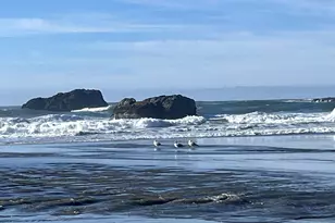 1425 Seacrest Ln, Brookings, OR 97415 - Photo 23