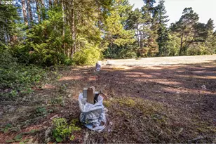 56060 Wheeler Rd, Bandon, OR 97411 - Photo 35