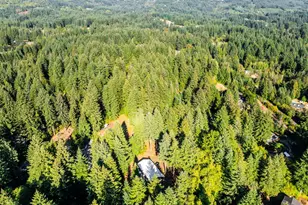 22812 NE 223rd St, Battle Ground, WA 98604 - Photo 21