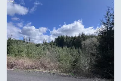 Palm Hill Rd, Clatskanie, OR 97016 - Photo 11