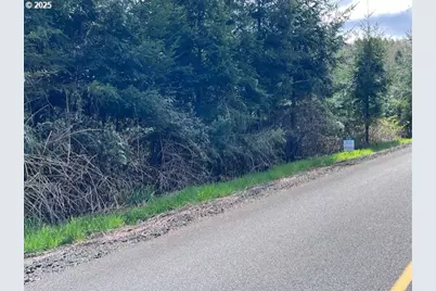 Palm Hill Rd, Clatskanie, OR 97016 - Photo 9