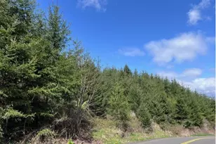Palm Hill Rd, Clatskanie, OR 97016 - Photo 1