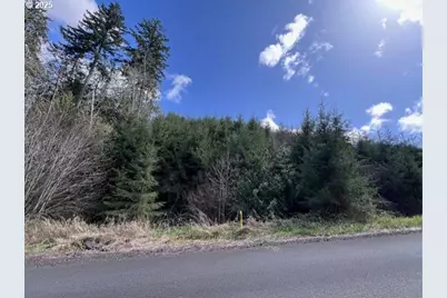 Palm Hill Rd, Clatskanie, OR 97016 - Photo 7