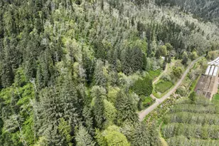 9150 Kilchis River Rd, Tillamook, OR 97141 - Photo 17