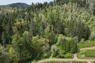 9150 Kilchis River Rd, Tillamook, OR 97141 - Photo 19