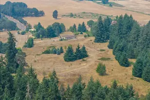 26221 Old Holley Rd, Sweet Home, OR 97386 - Photo 39