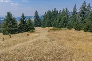 26221 Old Holley Rd, Sweet Home, OR 97386 - Photo 43