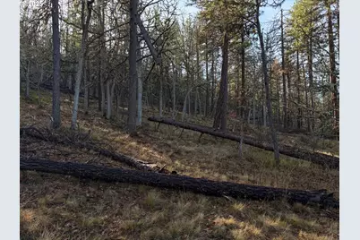 0 Valley Rd, Dufur, OR 97021 - Photo 29