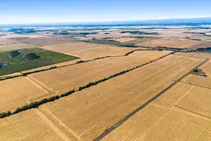 Belts Dr, Harrisburg, OR 97446 - Photo 1