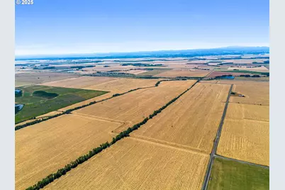 Belts Dr, Harrisburg, OR 97446 - Photo 5