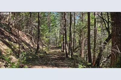 0 Caves Hwy, Cave Junction, OR 97523 - Photo 11