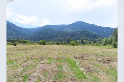 295 River Ranch Rd, Randle, WA 98377 - Photo 5