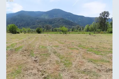 295 River Ranch Rd, Randle, WA 98377 - Photo 1