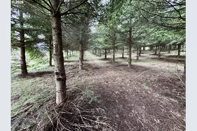 Everett Dr S, Salem, OR 97306 - Photo 27