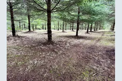 Everett Dr S, Salem, OR 97306 - Photo 29