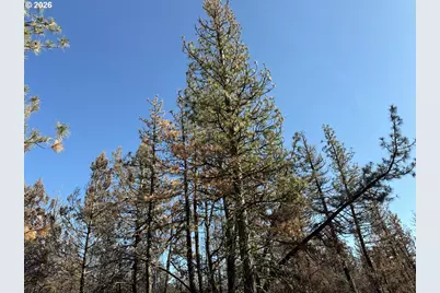 Hummingbird Dr #4, Bonanza, OR 97623 - Photo 17