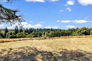 761 S 25th Pl, Ridgefield, WA 98642 - Photo 39