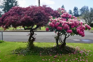 1220 SE 18th St, Toledo, OR 97391 - Photo 15