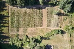 11700 NE 279th St, Battle Ground, WA 98604 - Photo 37