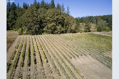 11700 NE 279th St, Battle Ground, WA 98604 - Photo 29