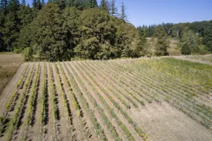 11700 NE 279th St, Battle Ground, WA 98604 - Photo 29