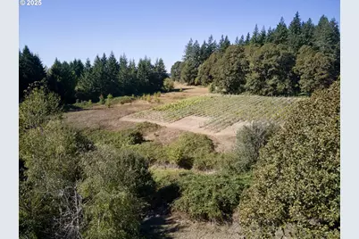 11700 NE 279th St, Battle Ground, WA 98604 - Photo 43