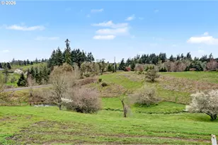 4625 Osborn Dr, Turner, OR 97392 - Photo 47